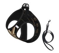 Harnais et Laisse Anti-Traction Adventure Await Compass pour Chien, Gilet réfléchissant Ajustable pour Petits Chiens, Harnais en Maille Respirante pour Chiots, idéal pour Les promenades et la Randonn