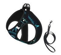 Harnais et Laisse Anti-Traction Adventure Compass pour Chien, Gilet réfléchissant Ajustable pour Petits Chiens, Harnais en Maille Respirante pour Chiots, idéal pour Les promenades et la randonnée, ta