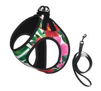 Harnais et Laisse Anti-Traction pour Chien à Motif Hibiscus d'Hawaï, Gilet réfléchissant Ajustable pour Petits Chiens, Harnais en Maille Respirante pour Chiots, idéal pour Les promenades et la Randon