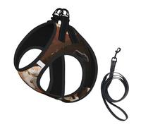 Harnais et Laisse Anti-Traction pour Chien Arizona Wild Horses5, Gilet réfléchissant Ajustable pour Petits Chiens, Harnais en Maille Respirante pour Chiots, idéal pour Les promenades et la randonnée,