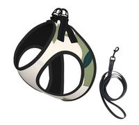 Harnais et Laisse Anti-Traction pour Chien, Motif Floral rétro, marché aux Fleurs de Tokyo, Gilet réfléchissant Ajustable pour Petits Chiens, Harnais en Maille Respirante pour Chiots, idéal pour Les