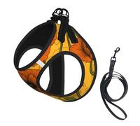 Harnais et Laisse Anti-Traction pour Chien Orange Poppies, Gilet réfléchissant Ajustable pour Petits Chiens, Harnais en Maille Respirante pour Chiots, idéal pour Les promenades et la randonnée, Grand