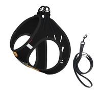 Harnais et Laisse Anti-Traction Tasty Fast Food Fresh pour Petits Chiens, Gilet réfléchissant Ajustable, Harnais en Maille Respirante pour Chiots, idéal pour Les promenades et la randonnée, Taille mo