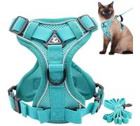 Harnais et Laisse de Chat pour échapper en extérieur, Un Harnais et Une Laisse à Chiens à Chiens aériens extérieurs avec des Bandes réfléchissantes