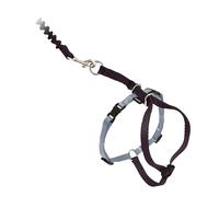 PetSafe Harnais et Laisse élastique Come with Me Kitty
