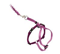 Harnais et Laisse élastique Come with Me Kitty par PetSafe