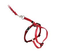 Harnais et Laisse élastique Come with Me Kitty par PetSafe