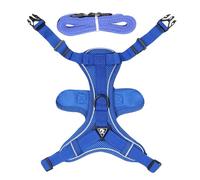 Harnais et laisse pour chat, harnais pour chat anti-fuite Laisse de course pour chat | Ensemble harnais et laisse pour chat pour marcher, chaton et chiot, harnais réfléchissant pour chaton a pru