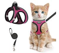 Harnais et laisse pour chat pour la marche, anti-fuite, harnais réglable pour chaton, harnais réfléchissant en maille souple, ajustement confortable, facile à contrôler