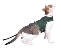 Harnais et laisse pour chat pour la promenade - Tissu en maille respirante anti-fugue - Vert uni - Taille moyenne - Vestes de promenade ajustables pour chat - Gilet pour chat rembourré et élégant
