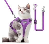 Harnais et Laisse pour Chat pour Promenade, Version améliorée, réglable dans Quatre Directions, Harnais Respirant pour Chat Anti-Fugue, Ajustable et positionnable, Bandes réfléchissantes, Violet, XS