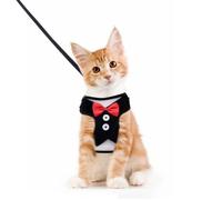 Harnais et Laisse pour Chat,Robes de soirée pour Chiot Chaton des Petits Animaux de Compagnie.Taille: M.