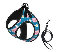 Harnais et Laisse pour Chien à Motif Cochon Mignon, Harnais-Gilet en Filet pour Petits Chiens et Chats