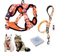 Harnais et Laisse pour Chien Chiot Chat. Harnai Réglable Original Arnet Anti Traction Coffret Cadeau pour Les Chiens de Petite Taille comme Bichon Léger Souple Solide (S, Orange) Poids Idéal 3-7,5kg