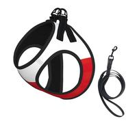 Harnais et Laisse pour Chien en Maille Douce imprimée Drapeau du Chili, Gilet rembourré Confortable pour Chiot et Chat, Harnais Anti-Traction