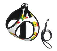 Harnais et Laisse pour Chien en Maille Douce imprimée du Drapeau du Sénégal, pour Chiot ou Chat. Gilet rembourré Confortable et Anti-Traction.