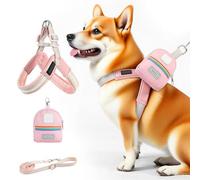 Harnais Et Laisse pour Chien, Veste Harnais Ajustable pour Chiot avec Sangle, Sac De Rangement Inclus Accessoire Anti-Rotation pour Marche en Ville Plage Randonnée Parc Jardin
