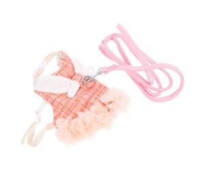 Harnais et Laisse pour Lapin Orange M, Coton, sans Manches | Style Adorable et Chic, Permet une Grosse Liberté, Facile à Enfiler, Confortable et Respirant