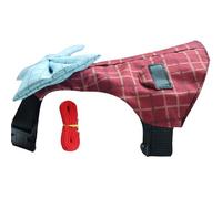 Harnais et laisse pour lapins - Accessoire de marche à pois - Harnais pour animal domestique - Pour promener en plein air - Laisse et