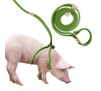 Harnais et Laisse pour Mini Cochon, Corde Réglable de 2,6 m pour Cochons Domestiques de Petite à Moyenne Taille