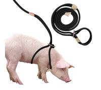 Harnais et Laisse pour Mini Cochon, Corde Réglable de 2,6 m pour Cochons Domestiques de Petite à Moyenne Taille