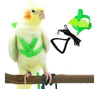 Harnais et laisse pour perroquet pour animal domestique, design d'entraînement réglable, anti-morsure, keck, mini ara et oiseaux de même taille (vert)