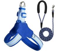 Harnais et Laisse réfléchissants pour Chien, conçus pour Les Cairn Terrier. Harnais et Laisse Anti-Traction réglables. Blue M