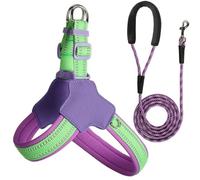 Harnais et Laisse réfléchissants pour Chien, conçus pour Les Cairn Terrier. Harnais et Laisse Anti-Traction réglables. Purple M