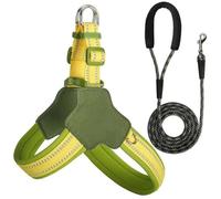 Harnais et Laisse réfléchissants pour Chien, conçus pour Les Giant Schnauzer. Harnais et Laisse Anti-Traction réglables. Yellow L