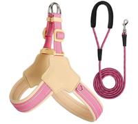 Harnais et Laisse réfléchissants pour Chien, conçus pour Les Miniature American Shepherd. Harnais et Laisse Anti-Traction réglables. Pink S