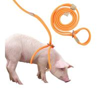 Harnais et laisse réglable de 2,4 m de long pour petits et moyens cochons