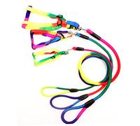 Harnais et Laisse réglables de Couleur Arc-en-Ciel pour Petits Chiens, Corde de Traction en Nylon pour Animaux de Compagnie avec Sangle de Poitrine, Ajustement Confortable pour la Marche et