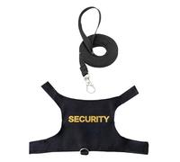 Harnais et laisses de dragon barbu - Laisses de lézard confortables et réglables, harnais pour reptile de 1,5 m, ceinture de sécurité pour animaux de compagnie, gilet anti-perte | Protection douce