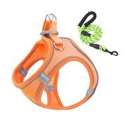 Harnais et laisses pour chat - Réfléchissant - Anti-fuite - Respirant | Harnais réglable pour chien de taille moyenne avec laisses pour chat, randonnée, marche nocturne, dressage pour chien en
