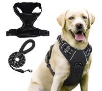 Harnais for Chien Anti-Traction - Respirant et renforcé - for Une Marche Confortable - empêche efficacement de Tirer sur la Laisse - Convient aux Chiens de Toutes Tailles(Schwarz,XL)