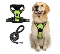 Harnais for Chien avec Ensemble de Laisse - Gilet réglable en Maille Douce, rembourré et Respirant, doté de Boucles sécurisées et d'un Clip de Laisse Avant.(Green,M)
