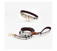 Harnais for Chien de Compagnie à la Mode, Collier de Laisse, Collier de Cou, Universel for Chiens de Petite et Moyenne Taille(White,M_Collar Set)