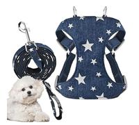 Harnais Gilet pour Chiens Respirant à Séchage Rapide Outil de Boucle Sécurisé Harnais de Poitrine pour | Convient pour Chiots de Petite et Moyenne Taille, Extérieur, Jardin, Cour, Pelouse