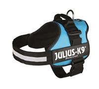 Harnais - Julius-K9 - Power - Aigue-marine - 71-96 cm - L-XL - Ergonomique