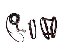 Kit De Conduite Pour Chats 3 Pièces