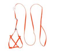 Harnais laisse pour animal domestique, perruche, promenade, jogging, contrôle facile, harnais pour animal de compagnie pour chiot et oiseau conteneur de rangement extérieur