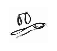 Love Story Harnais & Laisse pour chat Kit 120 cm Taille Petit Noir
