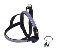Harnais LED Flash Mesh Norvégien Pour Chiens Nobby Bleu, Tailles Diverses, NEUF
