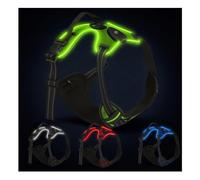 Harnais LED pour chien - Rechargeable par USB, réfléchissant et confortable, avec poignée robuste et deux clips pour laisse, gilet de sécurité lumineux pour chiens de petite, moyenne et grande taille