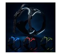 Harnais LED pour chien - Rechargeable par USB, réfléchissant et confortable, avec poignée robuste et deux clips pour laisse, gilet de sécurité lumineux pour chiens de petite, moyenne et grande taille
