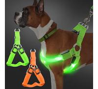 Harnais lumineux pour chien - 2 LED - Rechargeable - 3 modes réglables - Harnais lumineux réfléchissant pour les promenades nocturnes - Convient pour les chiens de petite à moyenne taille (orange +