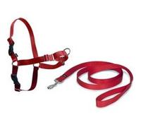PetSafe Harnais Easy Walk – Boucle anti-traction, laisse 1,8 m, 4 réglages – Rouge M