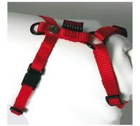 Harnais - MARTIN SELLIER - Réglable - 35/50 cm - Nylon - Vert