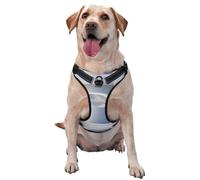 Harnais minimaliste blanc pour chiens de petite, moyenne et grande taille - Durable, ne tire pas avec sangles réfléchissantes et boucles à dégagement rapide XL