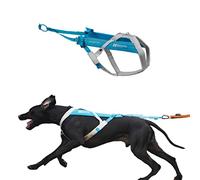 Harnais Non-stop dogwear Freemotion 5.0 pour chien, harnais de traction pour sports tels que la course, le vélo et le ski avec des chiens, harnais professionnel et ajustable, bleu/gris, taille 9